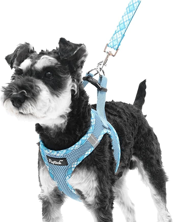 PUPTECK Dog Harness and Leash Set for Small Medium Dogs No Pull Step-in Soft Mesh Puppy Cat Vest Harnesses Reflective at Night, Sky Blue, XS