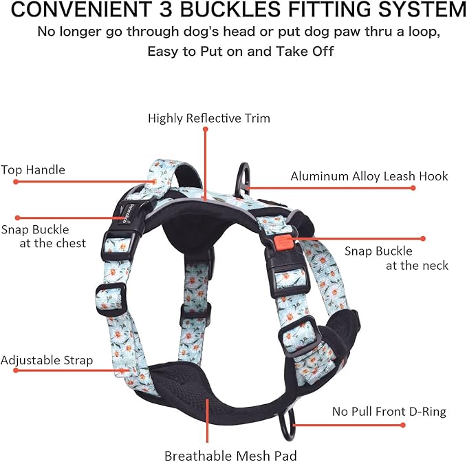 Petmolico No Pull Dog Harness Set with Leash Attachment Easy Control Handle Reflective Harness Vest Small Breed, Puppy Vest and Leash Set with Poop Bag Holder, Medium - Daisy