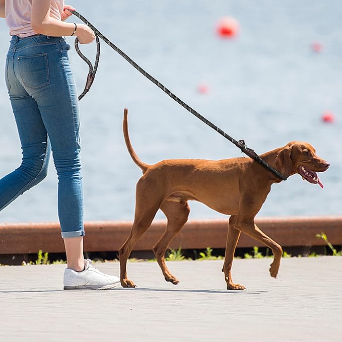 TwoEar Dog Leash Dog Slip Rope Leash 6FT Dog Training Leash Heavy Duty Strong Slip Lead Highly Reflective Threads for Small Medium and Large Dogs (Slim(3/8''x6ft), Black)