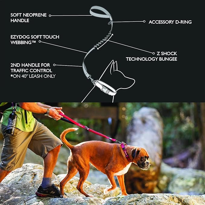 EzyDog Zero Shock Dog Leash - Shock Absorbing Bungee Leash for Dogs That Pull or Excite - Dual Handle and Reflective for Large, Medium, or Small Dogs (48-Inch, Teal)