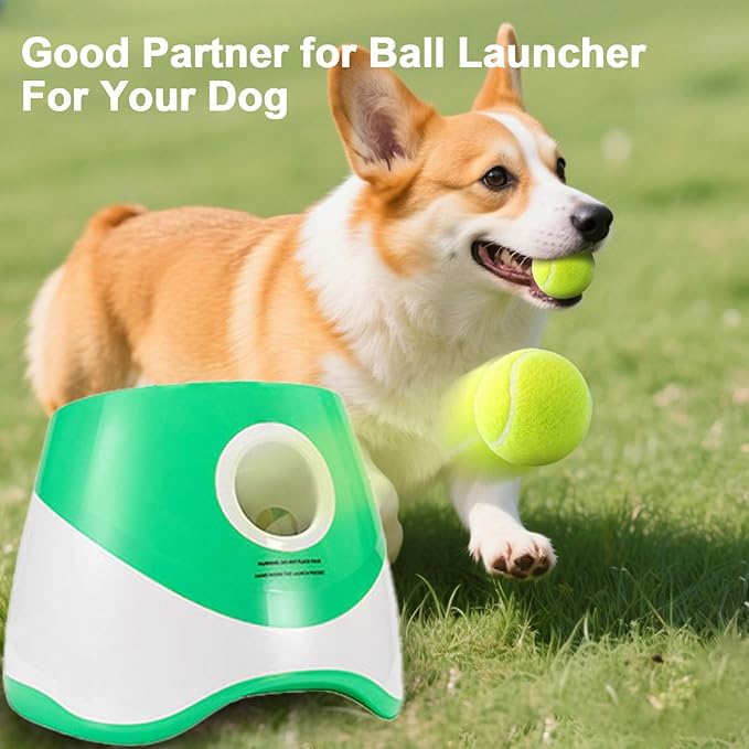 10 Pack 2-Inch Small Tennis Balls for Dogs, Interactive Fetch Toys for Indoor & Outdoor Play, Chew-Resistant Pet Training Balls(Not Compatible with The New Ball-Throwing Machine)