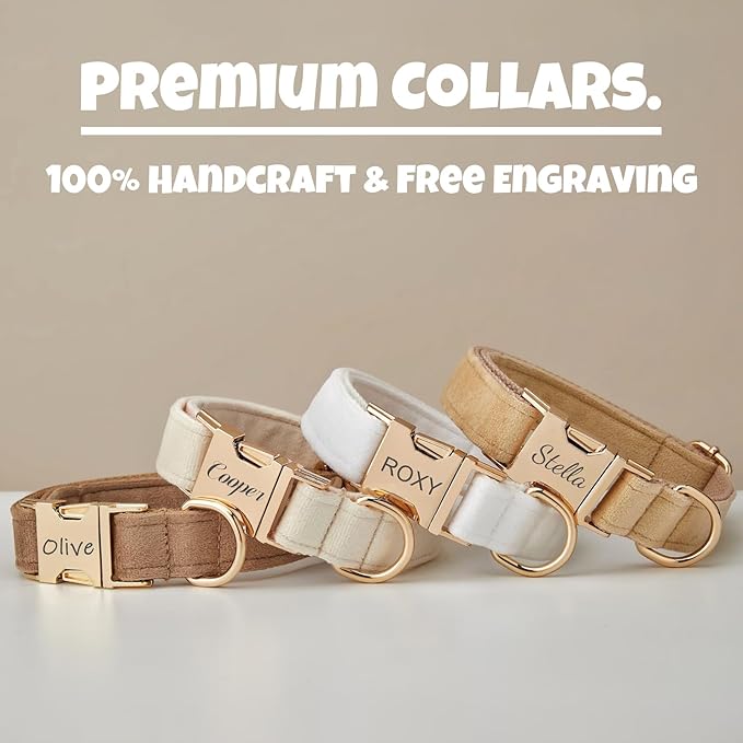 Personalized Velvet Dog Collar with Name & Phone, Multi-Color Options, Metal Quick-Release Buckle, Soft & Stylish (Style-D)