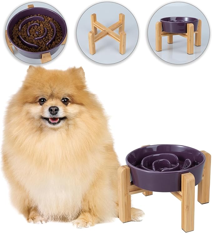 Elevated Slow Feeder Dog Bowl - Ceramic Maze Food Dish with Bamboo Stand - Raised Feeding Bowl for Fast Eaters - Ideal for Small and Medium Dogs - Purple - 6.7 inch