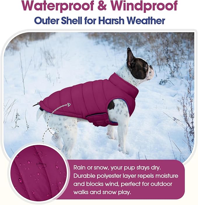 QBLEEV Reversible Dog Coat for Small Dogs, Waterproof Windproof Winter Jacket Keeps Small Breeds Warm & Dry, Lightweight Adjustable Puffer Vest with Leash Hole, Purple, XS – Fits Chihuahua, Yorkie