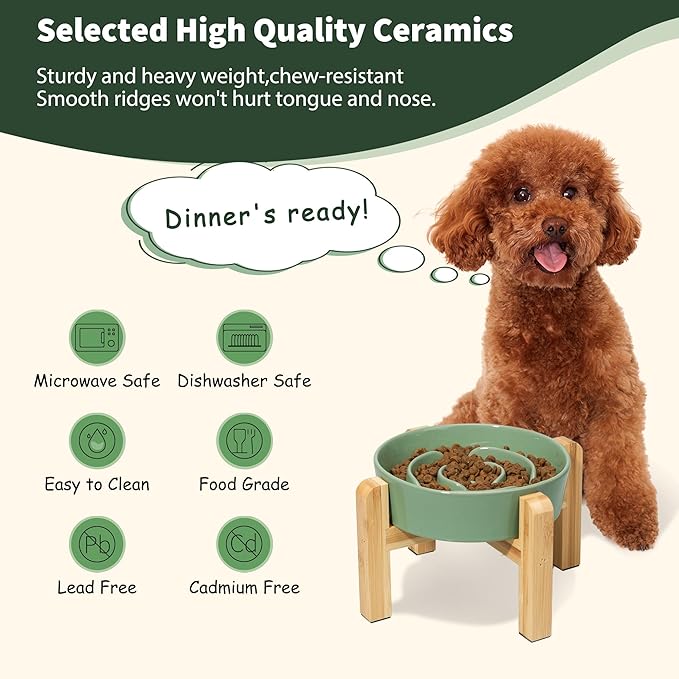 Elevated Slow Feeder Dog Bowl - Ceramic Maze Food Dish with Bamboo Stand - Raised Feeding Bowl for Fast Eaters - Ideal for Small and Medium Dogs - Green - 6.7 inch