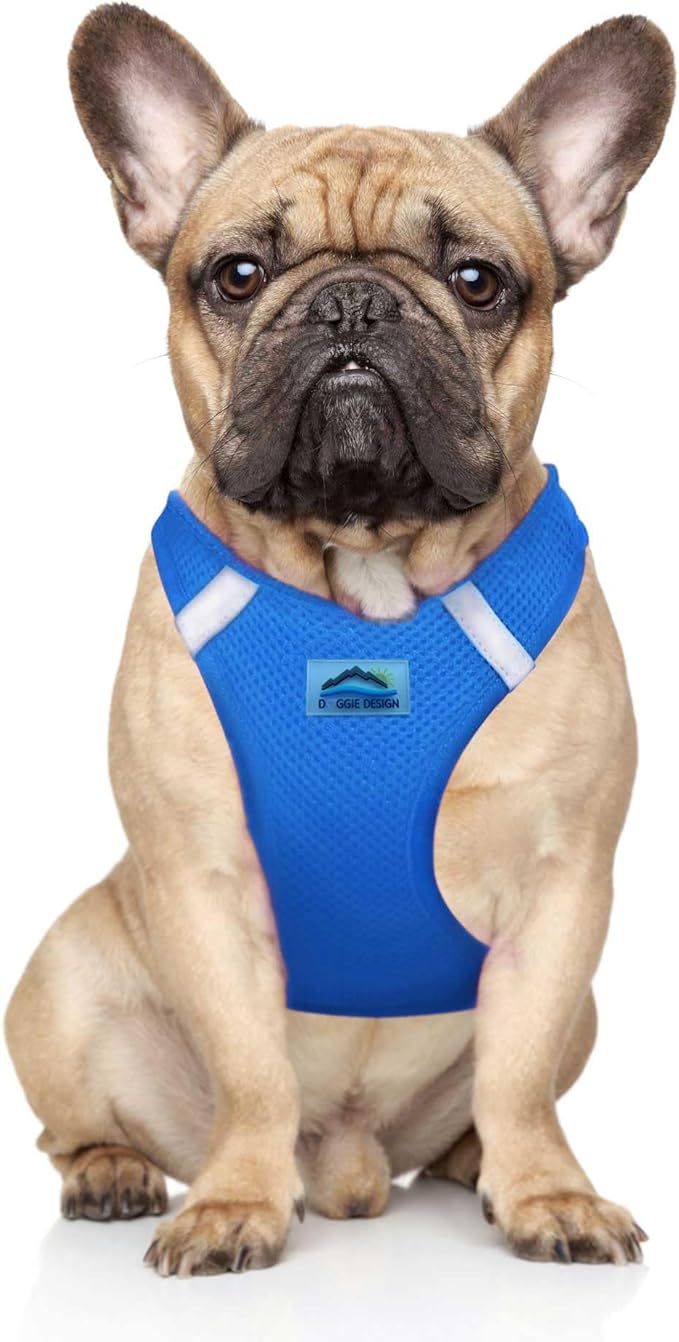 Doggie Design Dog Harness - No Choke Dog Harness, Dog Vest, Mesh Polyester, Pet Harness, Simple Step in and Go Design, Harness for Dog - Cobalt Blue, M