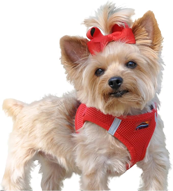 Doggie Design Dog Harness - No Choke Dog Harness, Dog Vest, Mesh Polyester, Pet Harness, Simple Step in and Go Design, Harness for Dog - Red, XS
