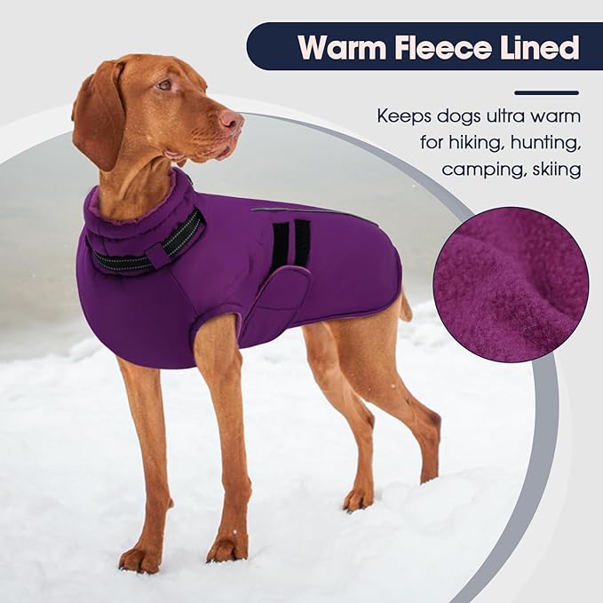 IECOii XXXL Dog Coat for Large Dogs Waterproof Dog Jacket with Collar Built in, Reflective Winter Jacket with Fleece Lined Warm Cold Weather Coats for Extra Large Dogs, Great Dane, Purple - 3XL