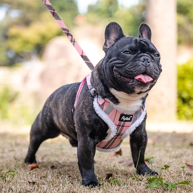 PUPTECK Dog Harness and Leash Set Medium Sized, Step in No Pull Adjustable Puppy Cat Harness Reflective Pet Vest