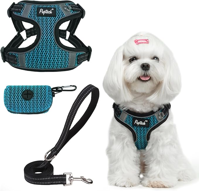 PUPTECK Dog Harness and Leash Set Small Sized, Step in No Pull Adjustable Puppy Cat Harness Reflective Pet Vest