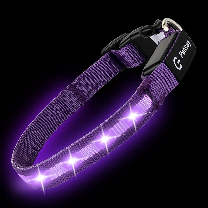 LED Dog Collar for Small Dogs Cats - Fully Waterproof & Adjustable Glow Collar - USB-C Rechargeable for Night Walking, Safety - Flashing Lighted Collar for Dogs(Purple,S)