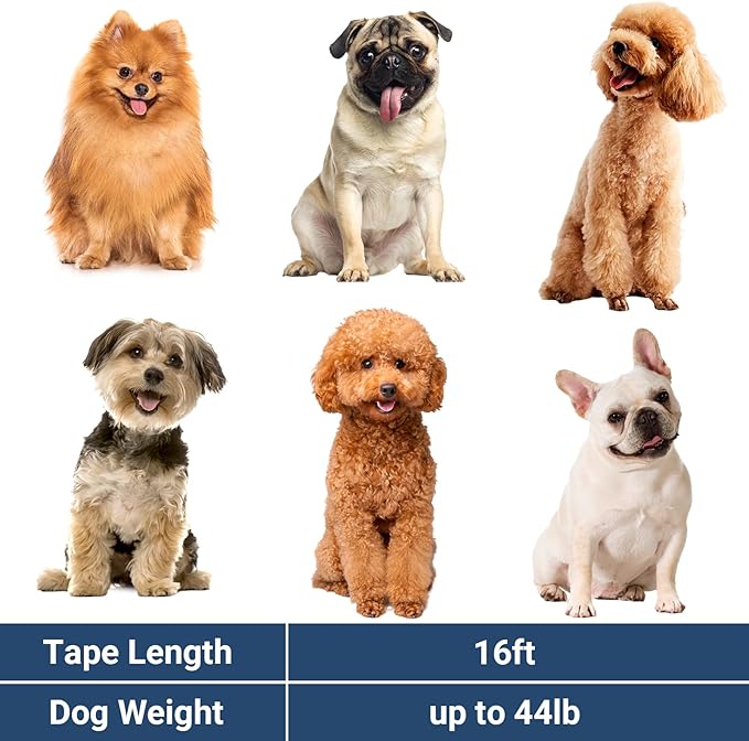 Segarty Extendable Leash, 16ft Heavy Duty Walking Dog Retractable Leash for Medium Small Dogs up to 44lb, Anti-Slip Handle 360°Tangle-Free Nylon Tape, One-Handed One Button Lock (Blue White)