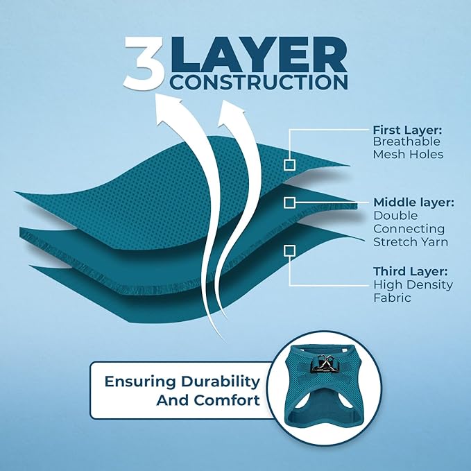 Voyager Step-in Air All Weather Mesh Harness and Reflective Dog 5 ft Leash Combo with Neoprene Handle, for Small, Medium and Large Breed Puppies by Best Pet Supplies - Set (Turquoise), L