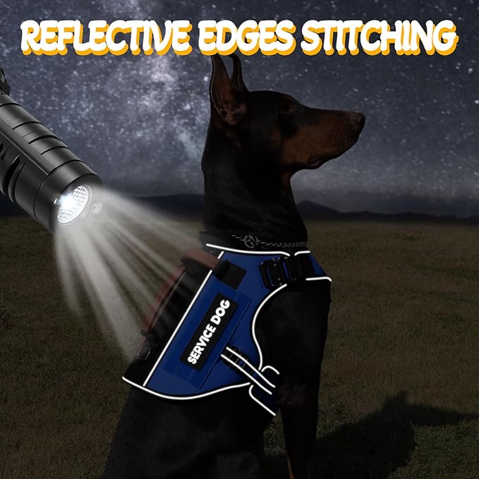 Service Dog Vest - HEYCAHVA Tactical Dog Harness Full Metal Buckles Dog Vest for Large Medium Dog Reflective No Pull Dog Harnesses with Leather Handle, Hook & Loop for Hiking Training (Blue, M)