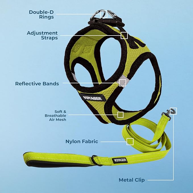 Voyager Step-in Air All Weather Mesh Harness and Reflective Dog 5 ft Leash Combo with Neoprene Handle, for Small, Medium and Large Breed Puppies by Best Pet Supplies - Lime/Black Trim, Medium