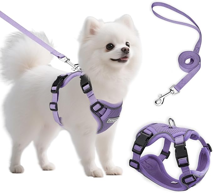 Small Dog Harness and Leash Set, Reflective Soft Breathable Mesh Vest, 3 Buckles, Adjustable Neck and Chest,Step in Dog Harness for Walking, Running, Training, Purple, S