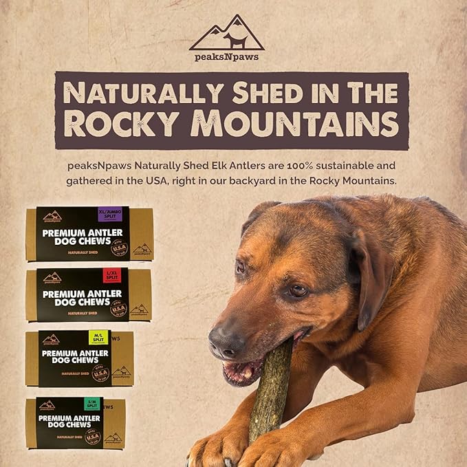 peaksNpaws Premium All-Natural Grade A Split Elk Antlers for Dogs – Naturally Shed in The Rocky Mountains – No Additives, No Preservatives - Healthy and Delicious Treat - Made in USA - XL/Jumbo Split