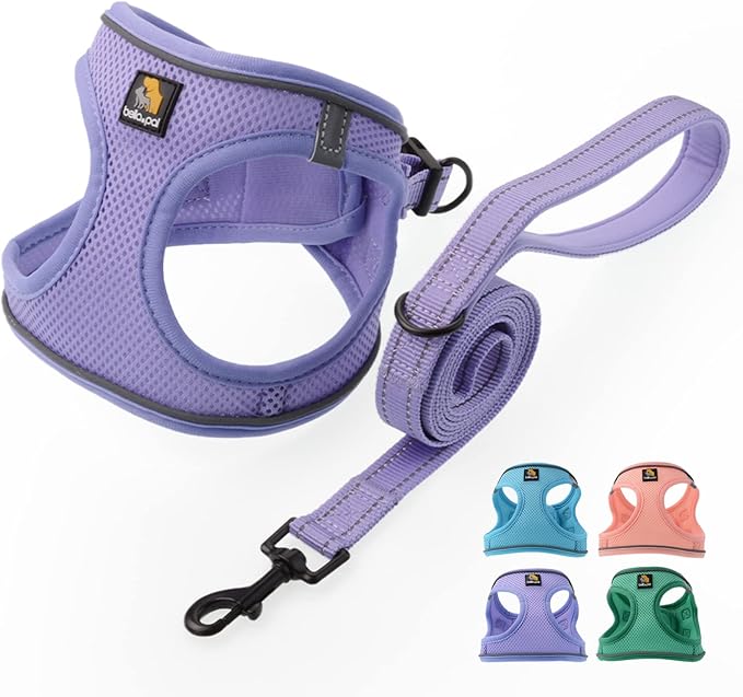 BELLA & PAL Small Dog Harness, Lavender, L, Animal Harness with Leash Set, No Pull, Step in, Reflective, Mesh, for Extra Small Dogs