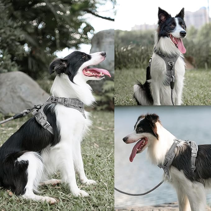 PoyPet No Pull Dog Harness and 5 Feet Leash Set, Release on Neck Reflective Adjustable Pet Vest, Front & Back 2 D-Ring and Soft Padded Pet Harness with Handle for Small to Large Dogs(Grey,L)