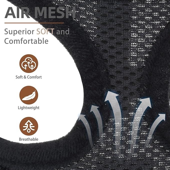 PUPTECK Soft Mesh Dog Harness and Leash Set Pet Puppy Cat Comfort Padded Vest No Pull Harnesses, Solid Black, XS