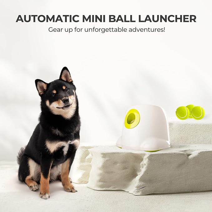 ALL FOR PAWS Original Dog Automatic Ball Launcher for Small and Medium Dogs, Interactive Dog Tennis Ball Throwing Machine, Enrichment Mental Stimulation Toys, Reduce Boredom & Stress