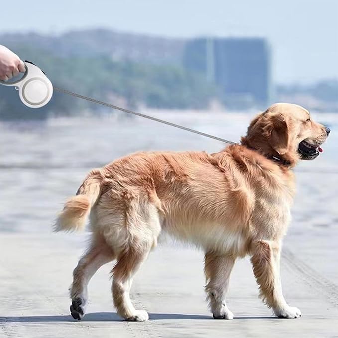 360° Tangle-Free Retractable Dog Leash, Heavy Duty Reflective Nylon Tape Lead 10 ft Long, up to 44lbs, One Touch Quick-Lock Braking System & Anti-Slip Handle (White-Purple, Small)
