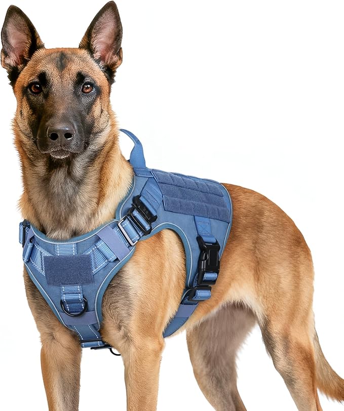 rabbitgoo Tactical Dog Harness for Large Dogs, No Pull Upgraded Reflective Heavy Duty Molle Vest with Handle, Adjustable Military Service Dog Vest for Walking Hiking Training, Blue, L