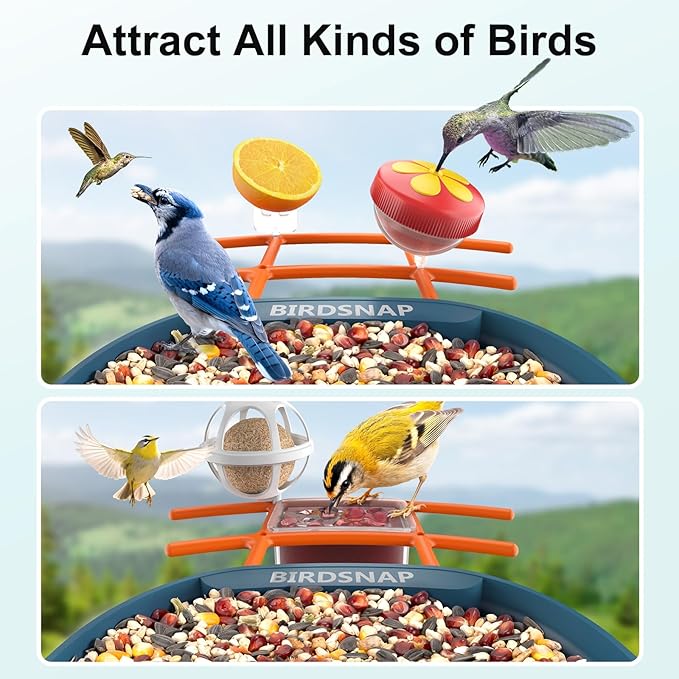 birdsnap® PAV-Bird Feeder with Camera 2K HD, 64GB Card, AI Identify Bird Species Smart Bird House with Camera Solar Powered, Record Video Live View, Auto Capture, Ideal Gift for Birds Lover
