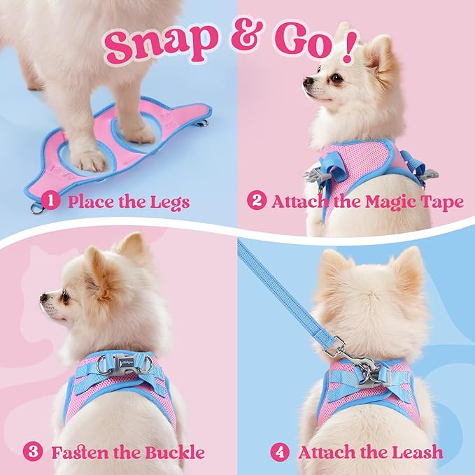 rabbitgoo Dog Harness Small Sized and Leash Set, Step-in Breathable Pet Harness, Soft Walking Reflective Puppy Vest for Small Dogs, Pink & Light Blue, XS