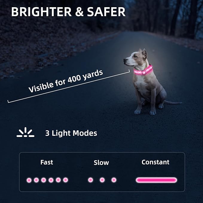 Super Bright LED Dog Collar - Fully Waterproof & Adjustable Glow Collar - USB-C Rechargeable for Night Walking, Safety - Flashing Lighted Collar for Dogs(Pink,L)