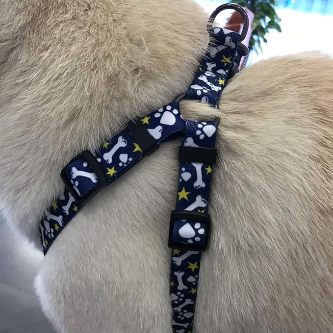 QQPETS Dog Harness Leash Set Adjustable Heavy Duty No Pull Halter Harnesses for Small Medium Large Breed Dogs Back Clip Anti-Twist Perfect for Walking (S(14"-20" Chest Girth), Bone)