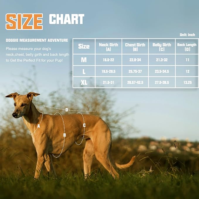 AUROTH Escape Proof Dog Harness for Large Dogs - No Pull, Soft Padded, Reflective, Adjustable Vest With Lift Handle for Walking, Hiking, Training