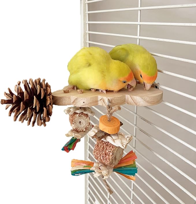Parrot Toys, Parrot Wooden Toys Long Tailed Bird Toys with Pure Natural Corn Sticks and Pure Natural Pine Cones, Fun Bird Cage Accessories
