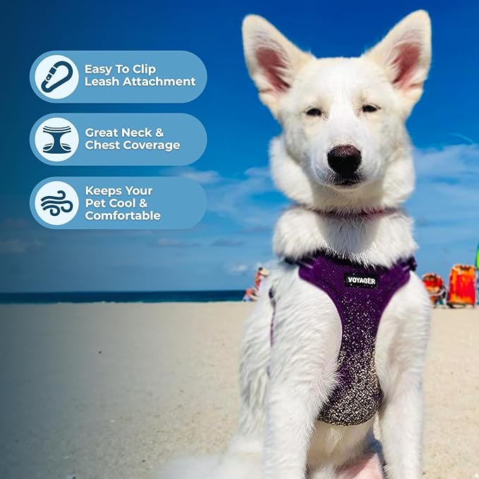 Best Pet Supplies Voyager Mesh Dog Breathable Harness Reflective Stitching, All Weather Adjustable for Walking Training, or Running - Heavy Duty & Durable, Harness (Purple), M