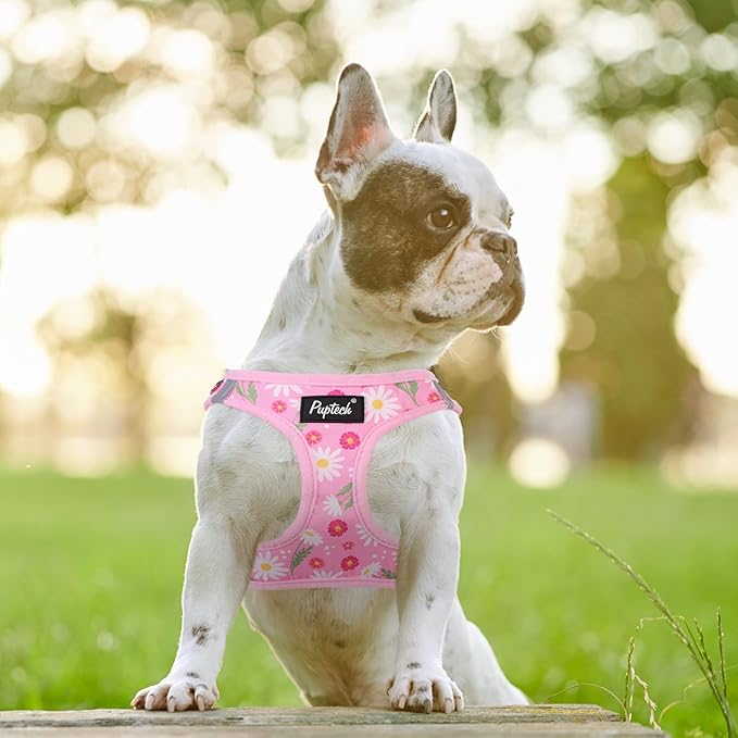 PUPTECK Dog Harness and Leash Set for Small Medium Dogs No Pull Step-in Soft Mesh Puppy Cat Vest Harnesses Reflective at Night, Pink Floral, M