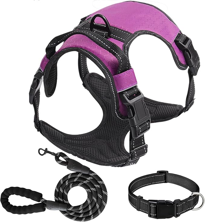 Dog Harness Set, No Pull Dog Vest Harness and 5ft Leash & Collar for Small Medium Sized Large Dog Cat,Adjustable Soft Nylon Padded Dog Vest Reflective Front Clip Vest with Easy Handle -Purple S