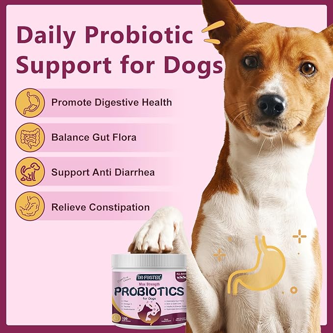 Probiotics for Dogs, Dog Probiotics for Digestive Health, 6 Billion CFU, with Prebiotics & Digestive Enzymes, Pumpkin & Omega-3, Dog Diarrhea Relief & Immune Support, Skin & Coat Care, 120 Soft Chews