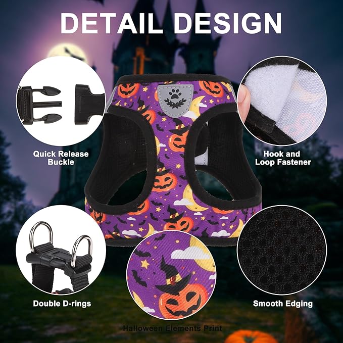 EXPAWLORER Halloween Puppy Harness - Dog Collar and Leash - Soft Mesh Padded Adjustable Step in Small Dog Vest Harness No Pull, Reflective Escape Proof for Outdoor Walking, Purple S