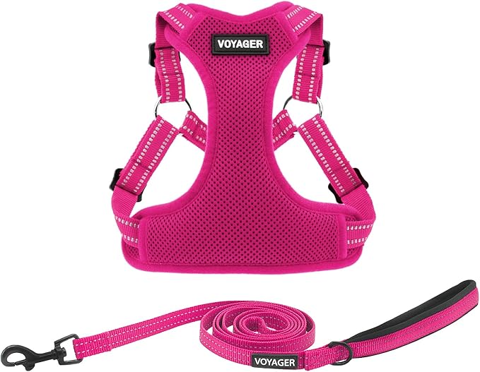 Best Pet Supplies Voyager Mesh Dog Breathable Harness Reflective Stitching, All Weather Adjustable for Walking Training, or Running - Heavy Duty & Durable, Harness Leash Set (Fuchsia), XS