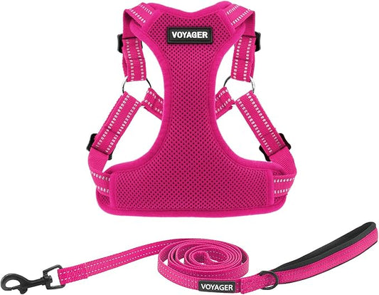 Best Pet Supplies Voyager Mesh Dog Breathable Harness Reflective Stitching, All Weather Adjustable for Walking Training, or Running - Heavy Duty & Durable, Harness Leash Set (Fuchsia), XS