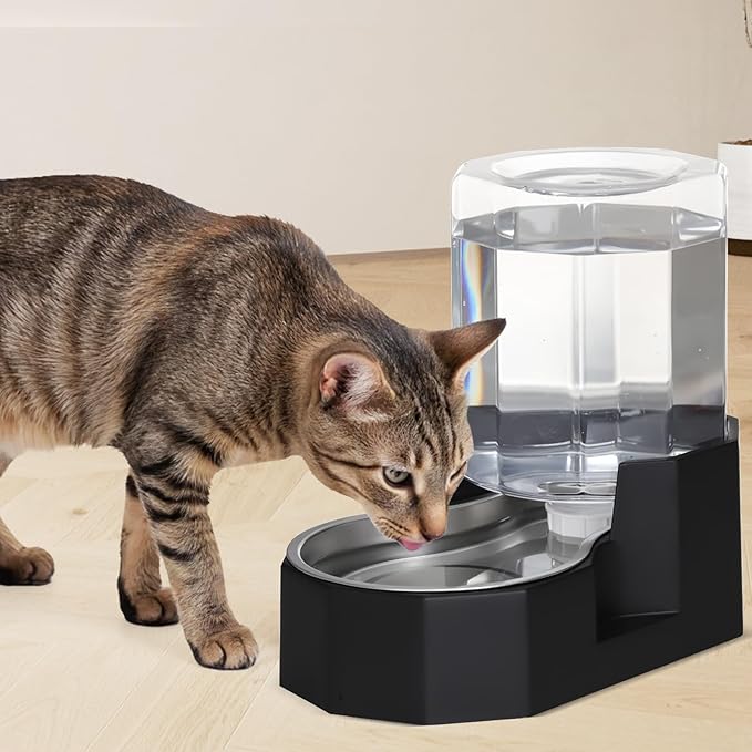 Sfozstra Gravity Water Bowl Dispenser : Automatic 5L Black Cat Stainless Steel Feeder with Specialized Brush - for Dogs with Joint Problems - Suitable in Garage Bedroom