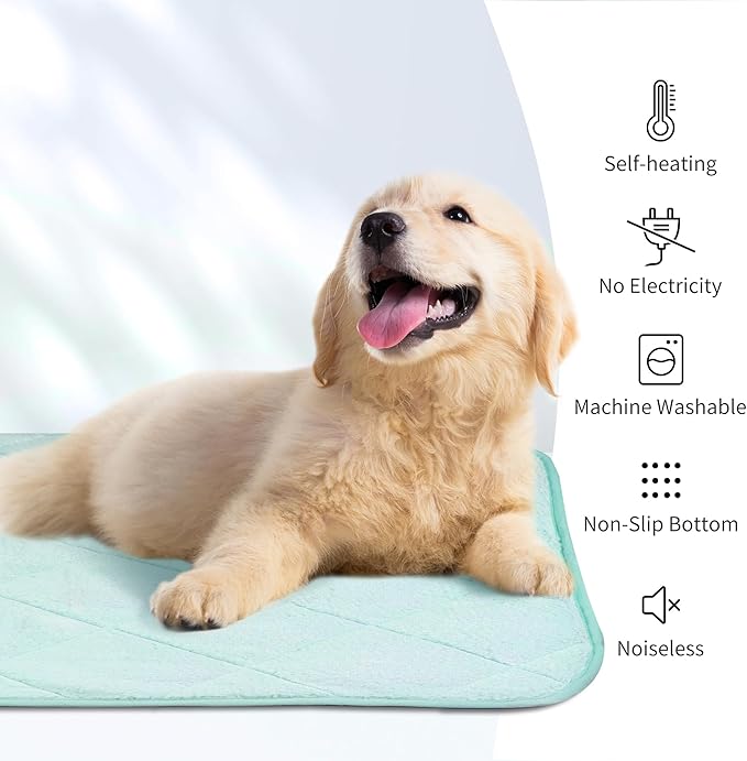 NWK Fluffy Self Warming Cat Mat, Cat Blanket, Thermal Dog Mat, Washable, Non-Slip Bottom for Sofa & Crate & Kennel & Car Seat (Mint Green, Large (35'' X 23'' X 0.4''))