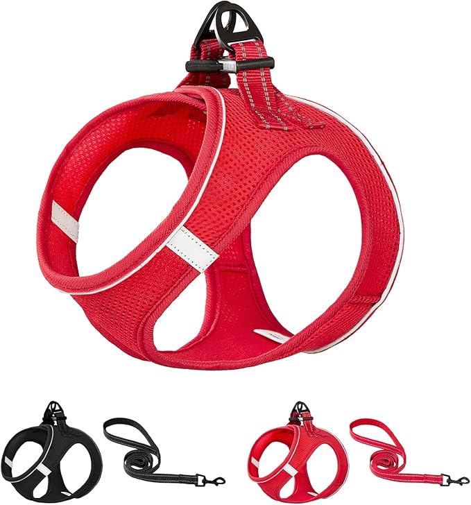 Dog Harness and Leash Set, No Pull Mesh Puppy Harness for Small Medium Sized Dogs, Pet Vest for Walking Running Training, Double D-Rings Reflective Strip