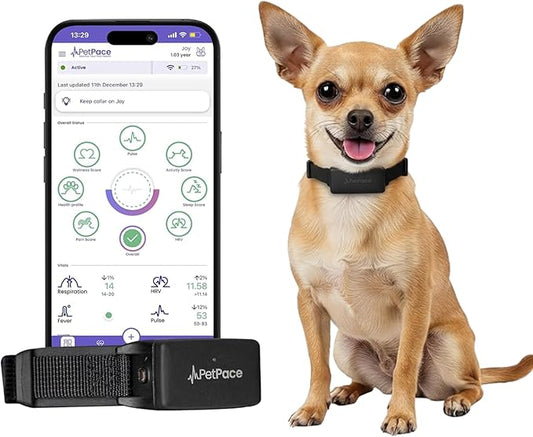 NEW Dog Health Monitor V3.0 by PetPace – AI Smart Collar with 24/7 Vital Signs, Pain & GPS Tracking, Telehealth AskaVet & Share With Your Vet, Smartwatch Sync – Subscription Required (Small)