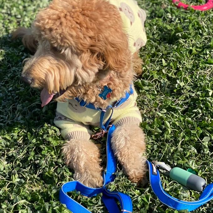 Dog Poop Bag Dispenser with Built-in LED Flashlight and Metal Clip for Leash, Pet Waste Bag Holder, Dog Walking Accessory, Mint Green