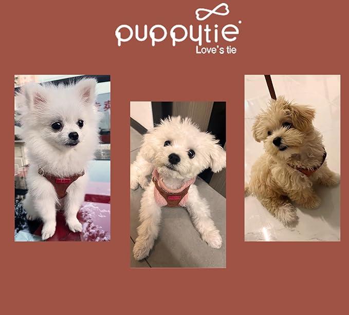 Puppytie No Pull Small Dog Harness with Multifunction Dog Leash,Lightweight Soft Adjustable No Choke Escape Proof Pet Harness Vest Pet Harness Vest,Brown Caramel,S