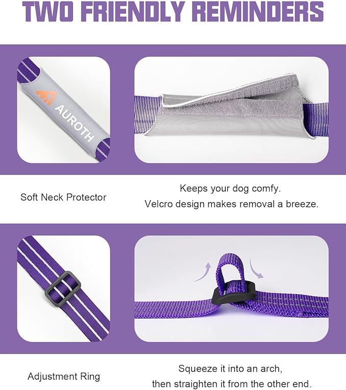 AUROTH Dog Harness and Leash Set, Soft Padded No Pull Dog Harness with 5.25FT Dog Leash, No Choke, Easy On Pet Vest, Adjustable Reflective Dog Vest Small Sized Dog, Easy Walking and Training