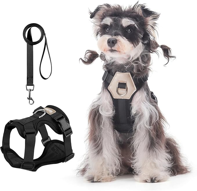 Small Dog Harness and Leash Set, Breathable Mesh Puppy Harness, Adjustable Dog Harness for Small Medium Large Dogs, No-Pull Pet Harness for Daily Walking (Black, X-Large)