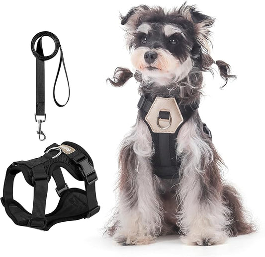 Small Dog Harness and Leash Set, Breathable Mesh Puppy Harness, Adjustable Dog Harness for Small Medium Large Dogs, No-Pull Pet Harness for Daily Walking (Black, X-Large)