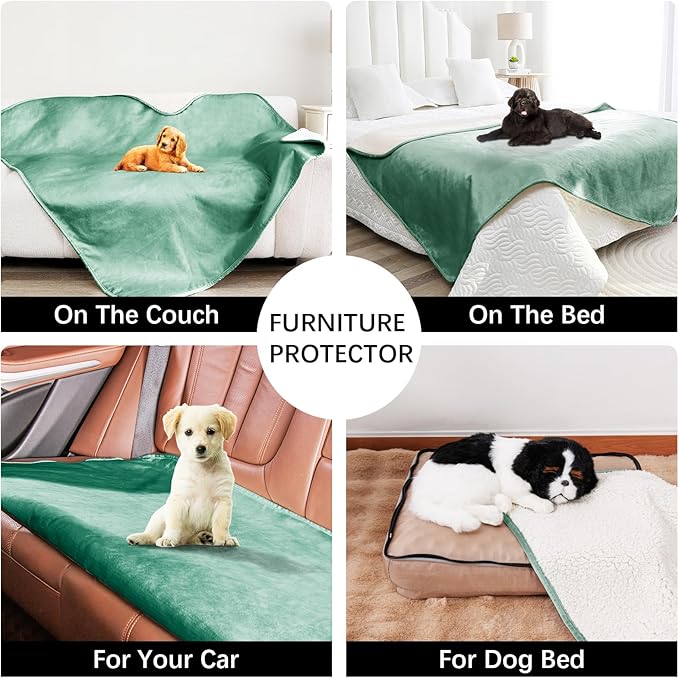 Waterproof Dog Blankets for Small Dogs, Washable Pet Blanket for Indoor Cats, Plush Sherpa Puppy Throw Furniture Protector for Bed Couch Sofa(25"x35",S,Green)